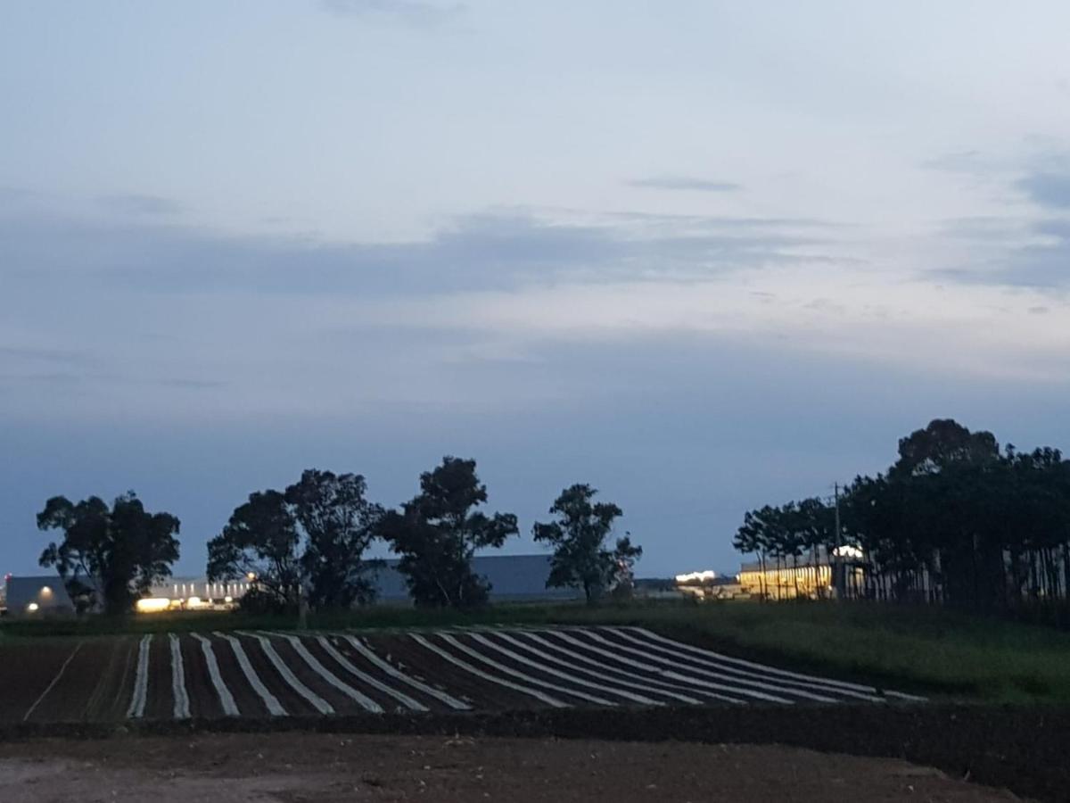 Agriturismo Il Casale Ponte Galeria Zewnętrze zdjęcie
