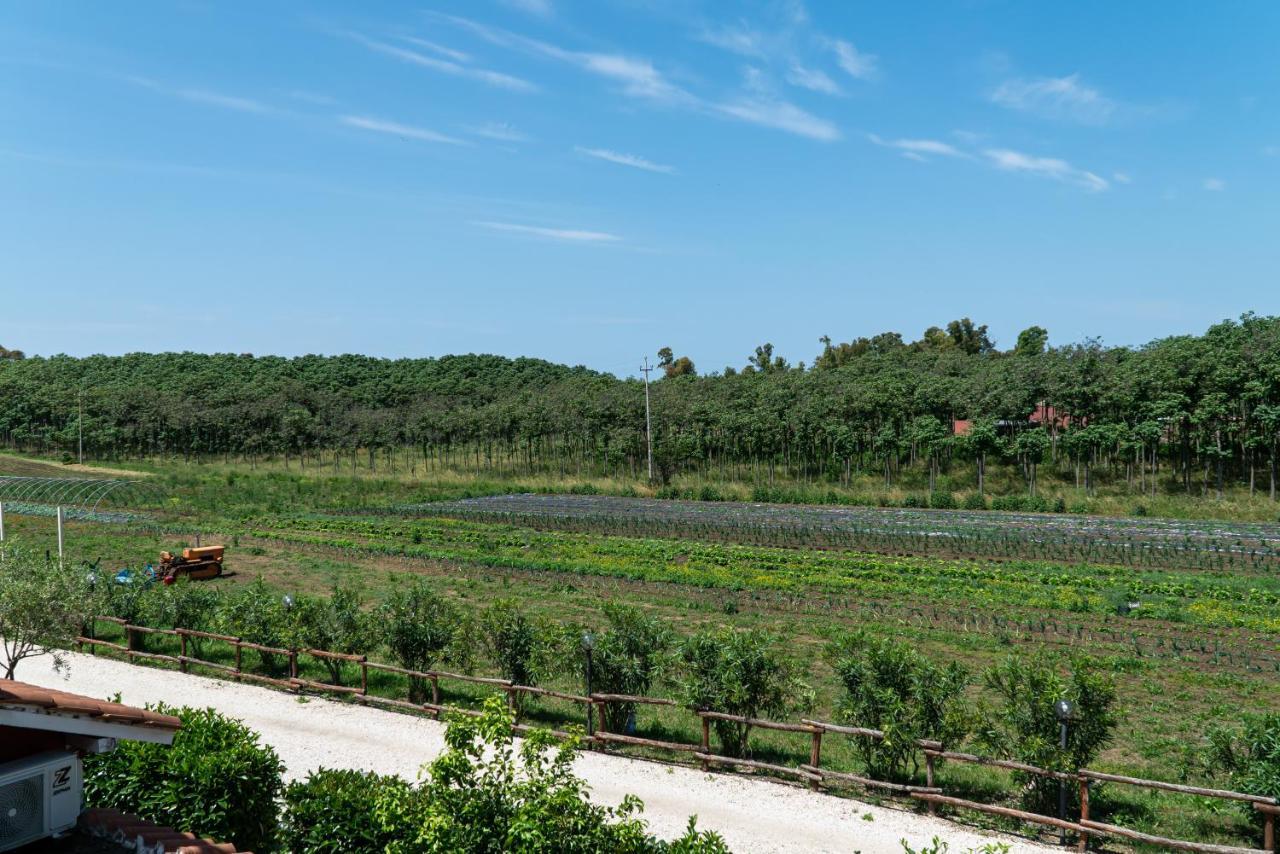 Agriturismo Il Casale Ponte Galeria Zewnętrze zdjęcie